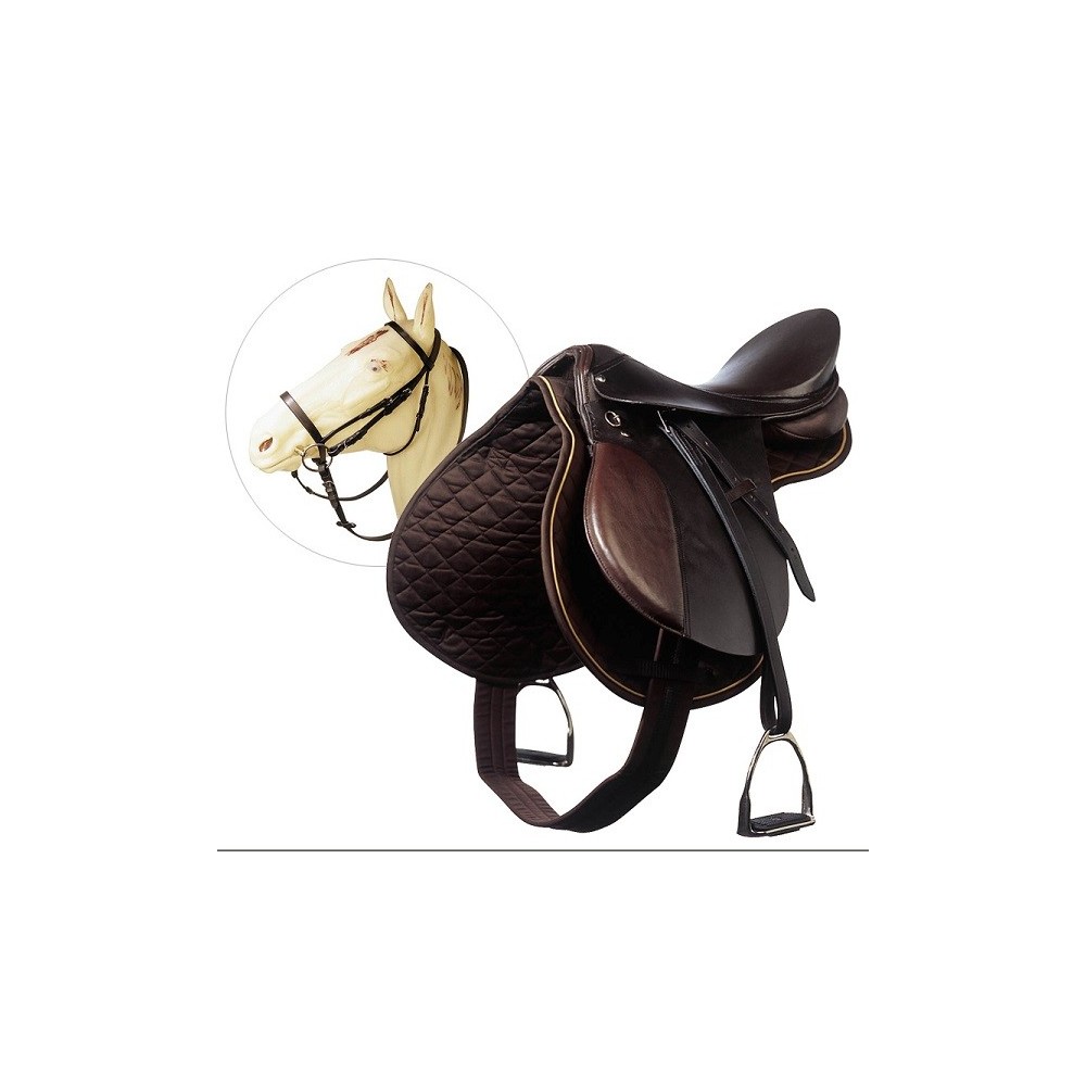 GALAPAGO EQUIPO ESCUELA NIÑO