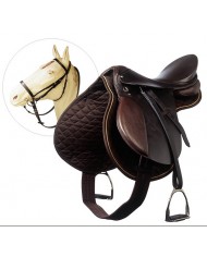 GALAPAGO EQUIPO ESCUELA NIÑO