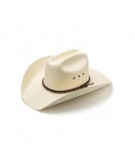 SOMBRERO STETSON "PAWNEE" DE PELO/LANA