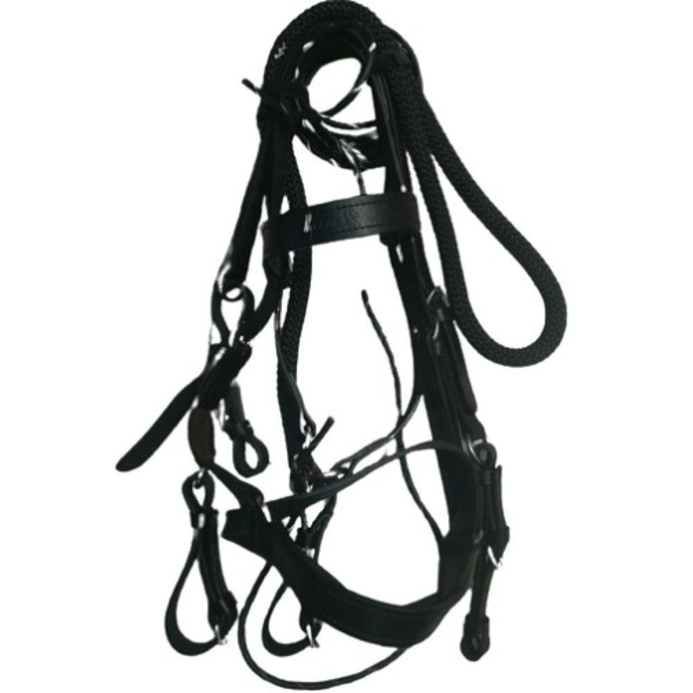 CABEZADA EN CUERO PASEO CORCEL