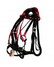 CABEZADA EN CUERO PASEO CORCEL