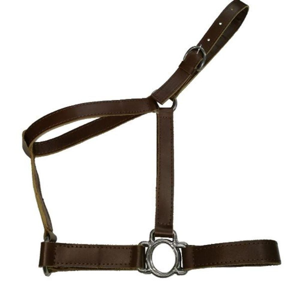 JAQUIMON CUERO ROYAL KING