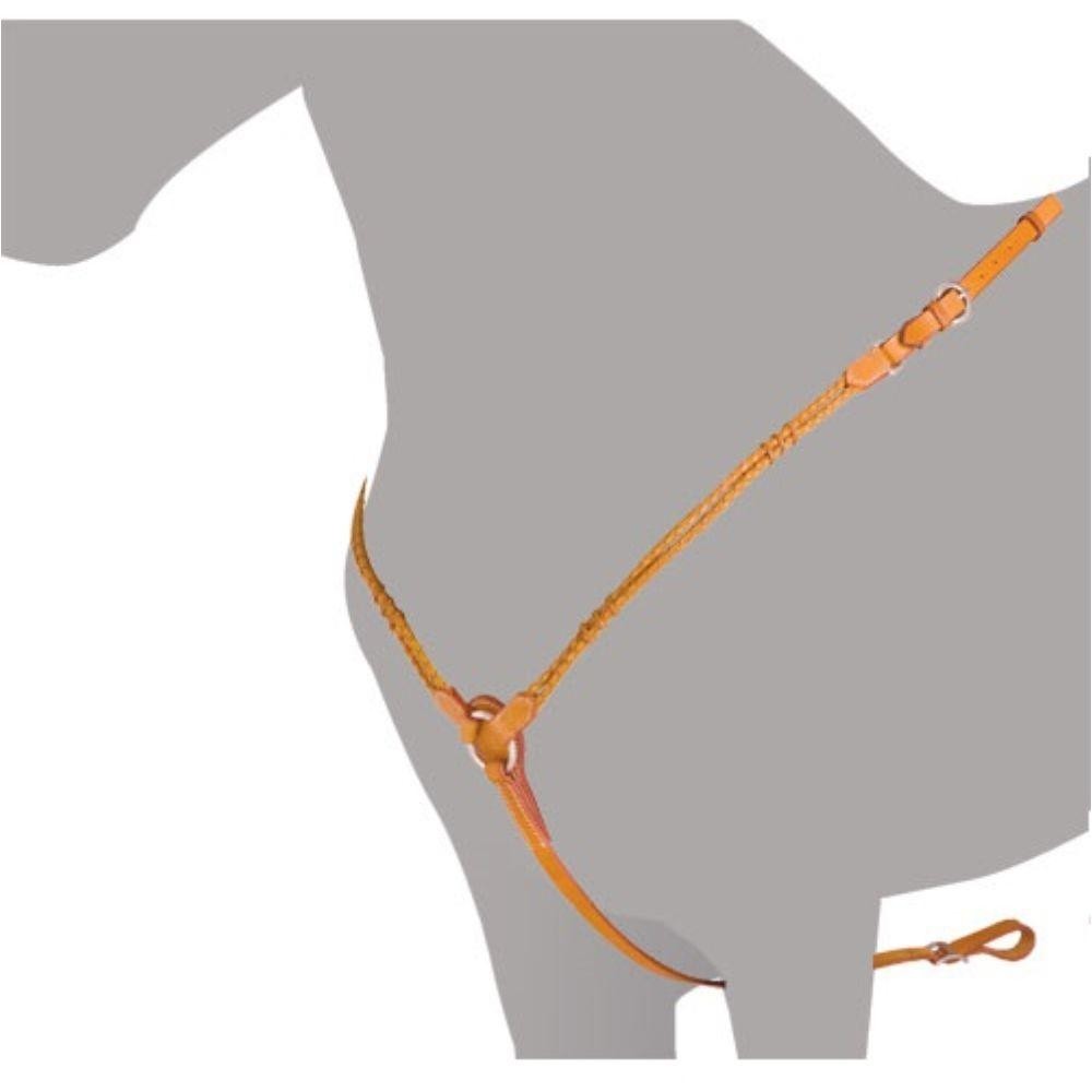 PECHERA WESTERN HH WACO