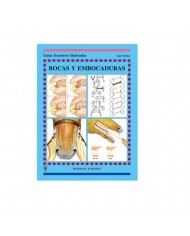 LIBRO GUIA: BOCAS Y EMBOCADURAS