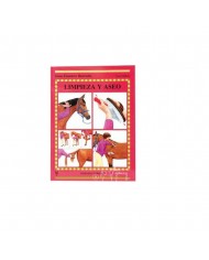 LIBRO GUIA: LIMPIEZA Y ASEO