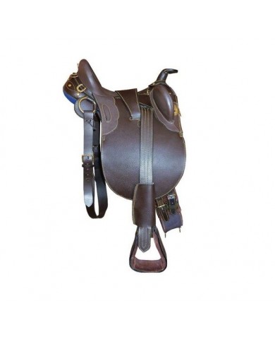 SILLA AUSTRALIANA EQUIPO COMPLETO SILLA AUSTRALIANA EQUIPO COMPLETO