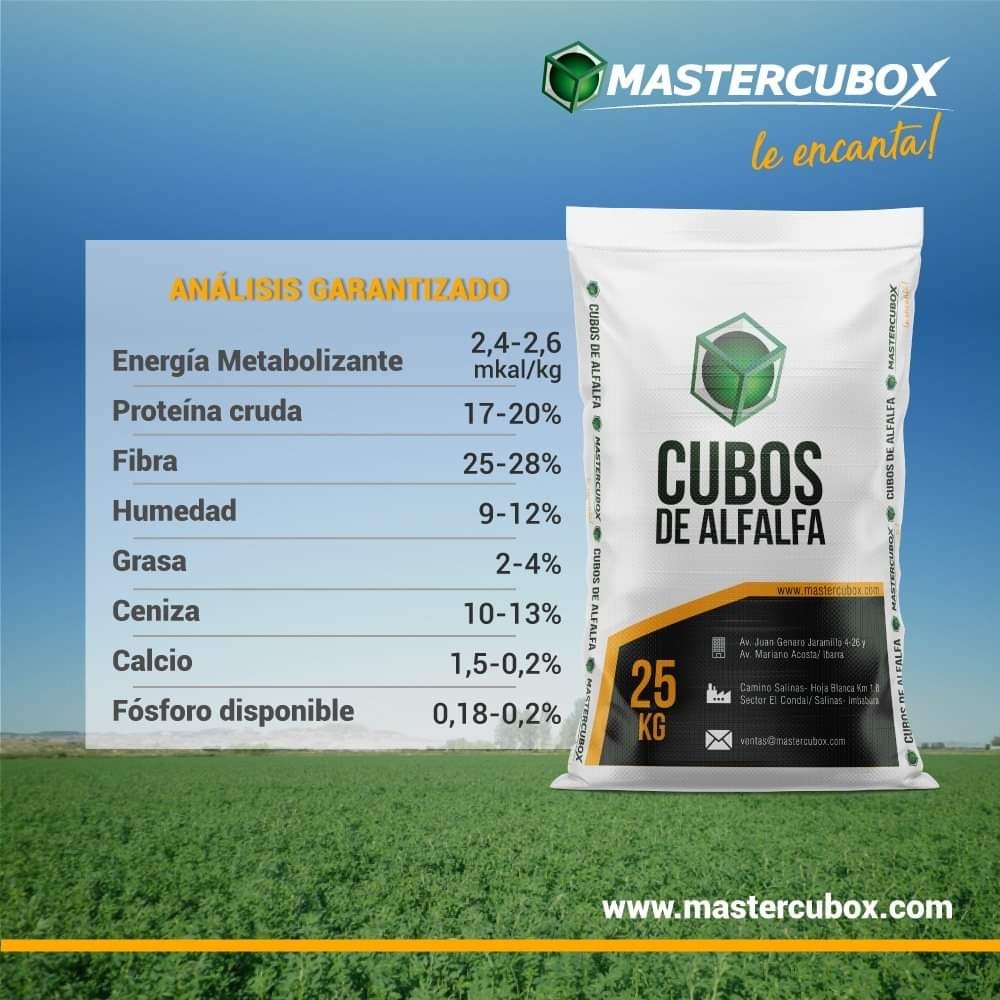 SACO CUBOS DE ALFALFA MASTERCUBOX 25 KG