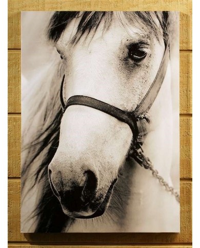 CUADRO CABALLO BLANCO EN CANVAS