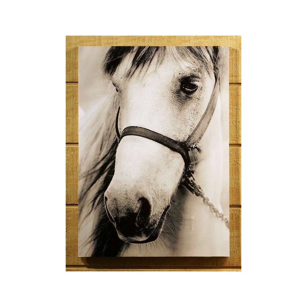 CUADRO CABALLO BLANCO EN CANVAS
