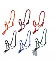 GALAPAGO CONTINENTAL COMBO JP