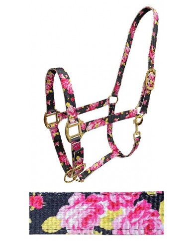 JAQUIMON CABALLO NYLON (SB) JAQUIMON CABALLO NYLON (SB)