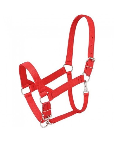 JAQUIMON ELITE CABALLO JAQUIMON ELITE CABALLO