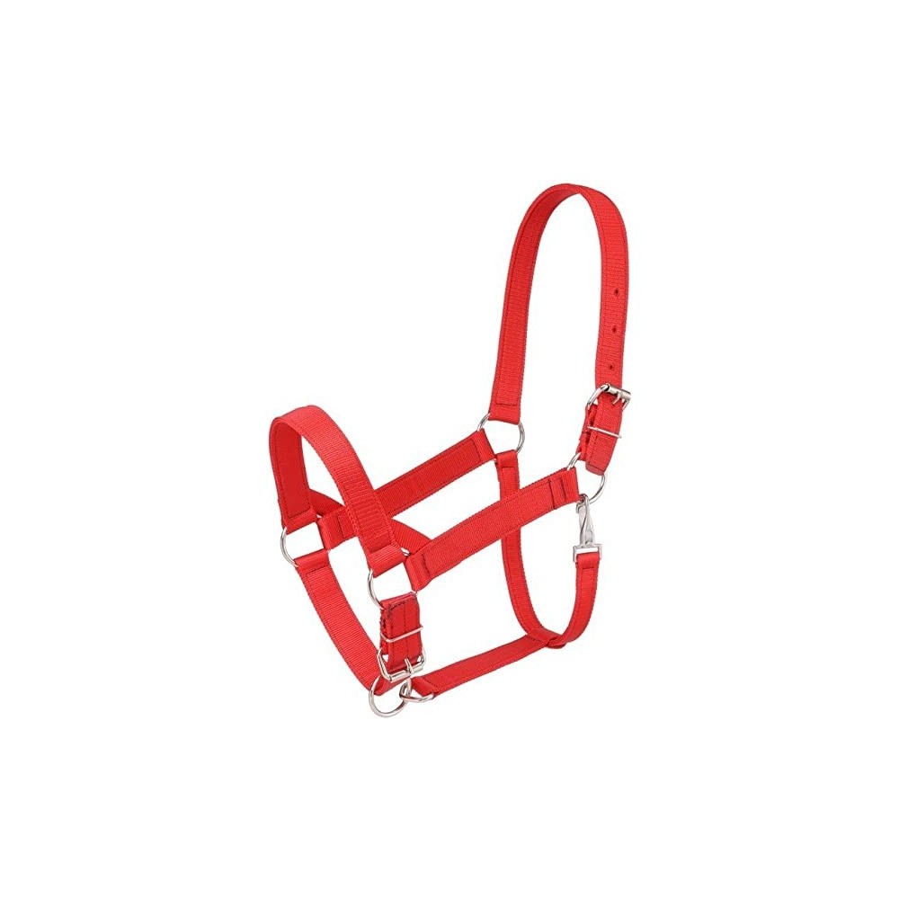 JAQUIMON ELITE CABALLO