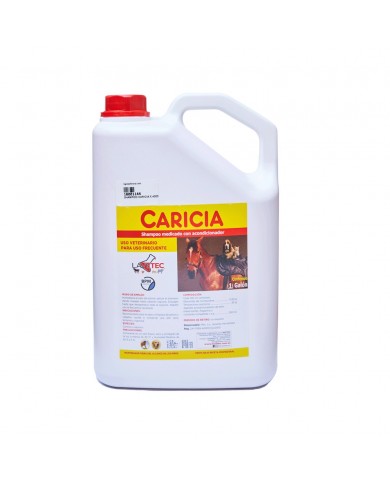 SHAMPOO CARICIA 4000 ML