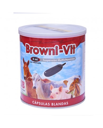 BROWNI VIT BOLO BROWNI VIT BOLO