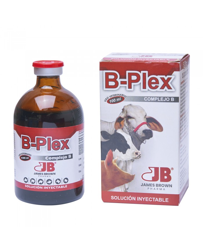 B-PLEX 100 ML