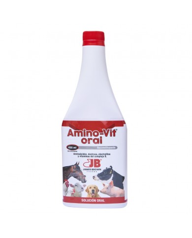 AMINO-VIT ORAL 450 ML AMINO-VIT ORAL 450 ML