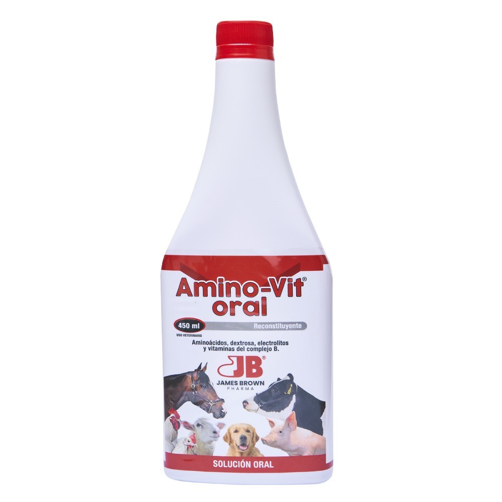 AMINO-VIT ORAL 450 ML