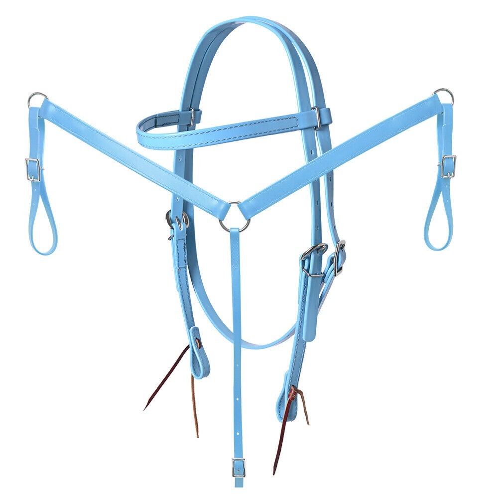 CABEZADA + PECHERA ENDURANCE EN BIOTHANE