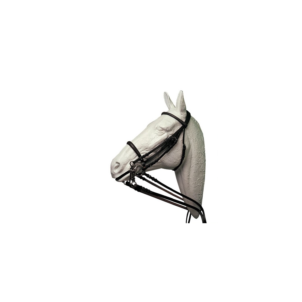 CABEZADA HH ZITA DOBLE RIENDA