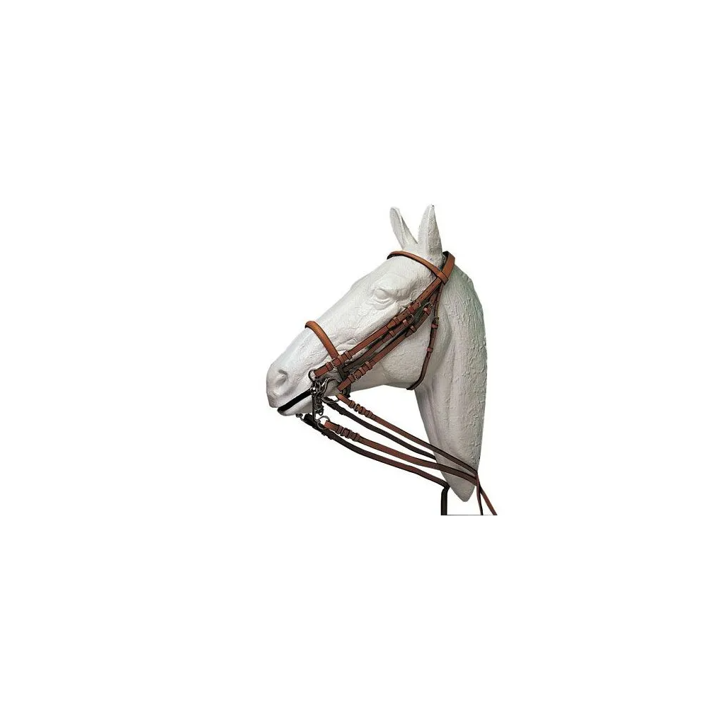 CABEZADA HH ZITA DOBLE RIENDA