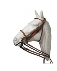 CABEZADA HH ZITA DOBLE RIENDA