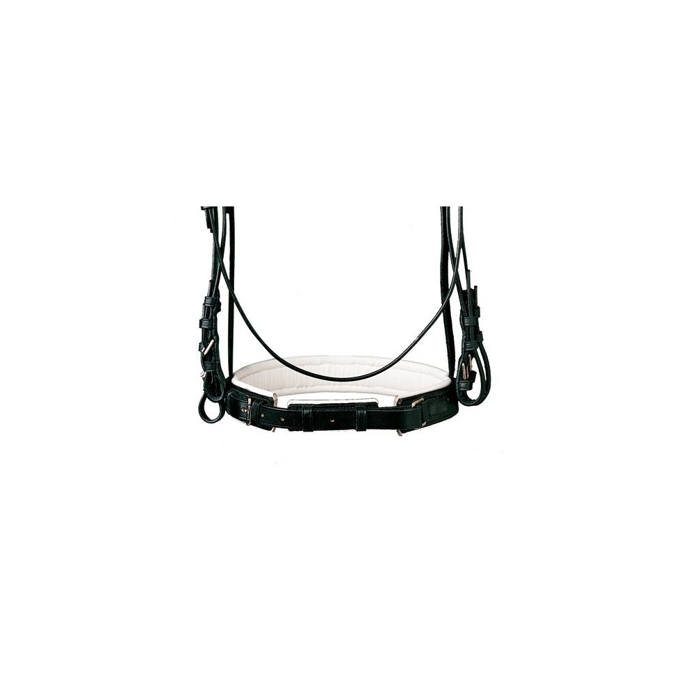 CABEZADA LEXHIS DOBLE RIENDA MUSEROLA DOS PIEZAS NEGRA