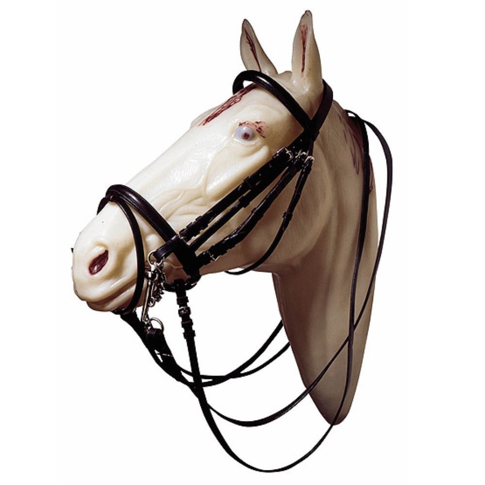 CABEZADA MRJ ADIESTRAMIENTO MUSEROLA ANCHA