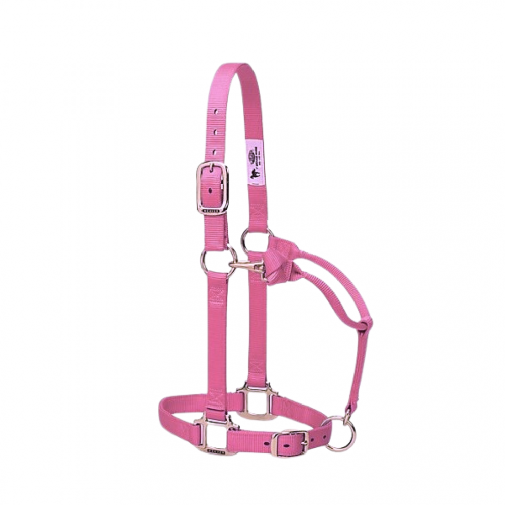 JAQUIMON ORIGINAL REGULABLE AVERAGE DIVA PINK