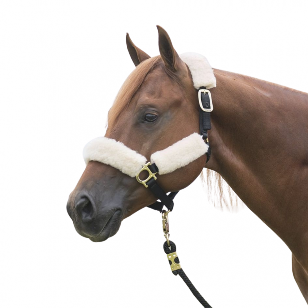 PROTECTOR JAQUIMON EN FLEECE