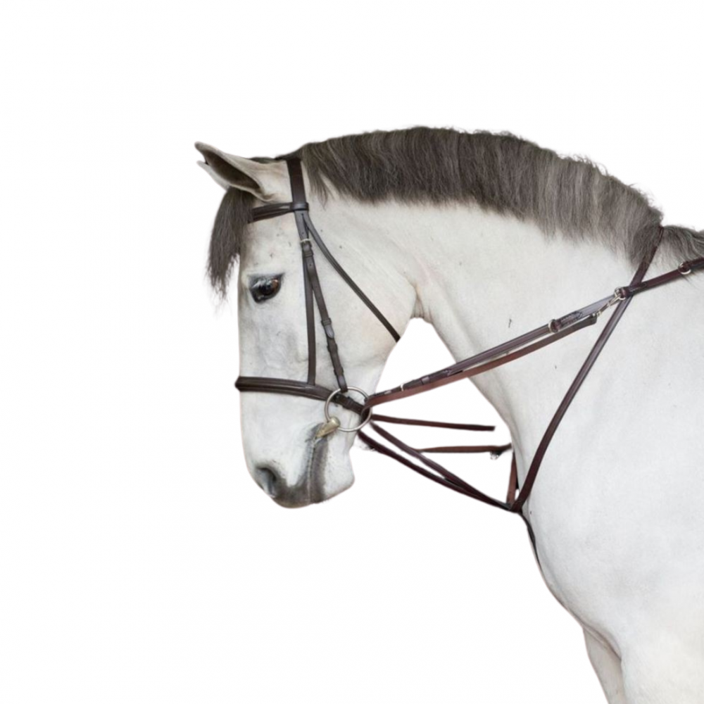 RIENDA ALEMANA EN CUERO