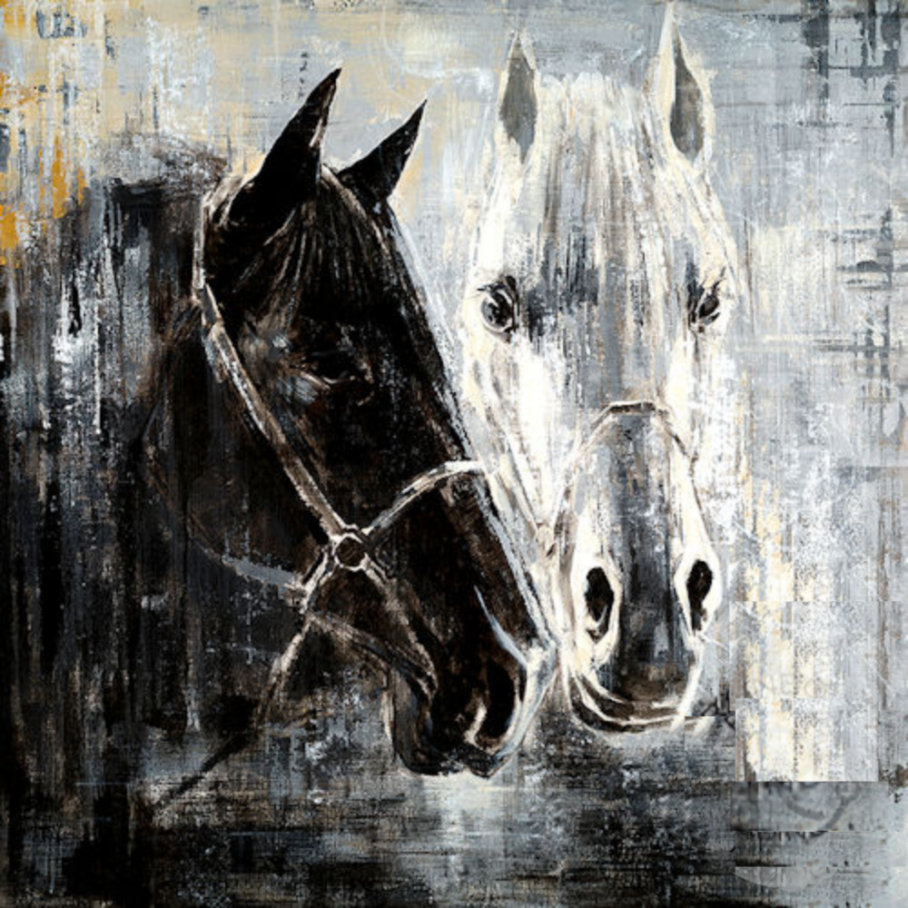 CUADRO 36X 36 CABALLO NEGRO Y BLANCO