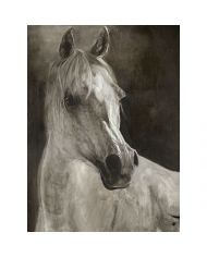 CUADRO COLORES CANVAS CABALLOS