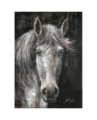 CUADRO36 X 36 DOS CABALLO COLORES