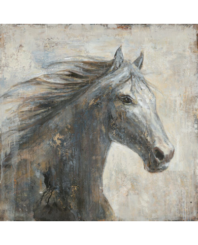 CUADRO BLANCO Y NEGRO CANVAS CABALLO