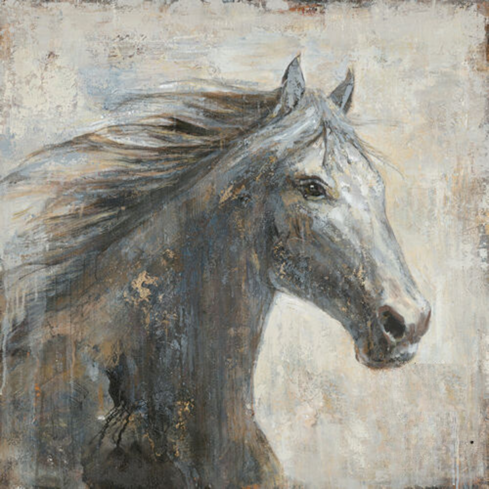 CUADRO BLANCO Y NEGRO CANVAS CABALLO