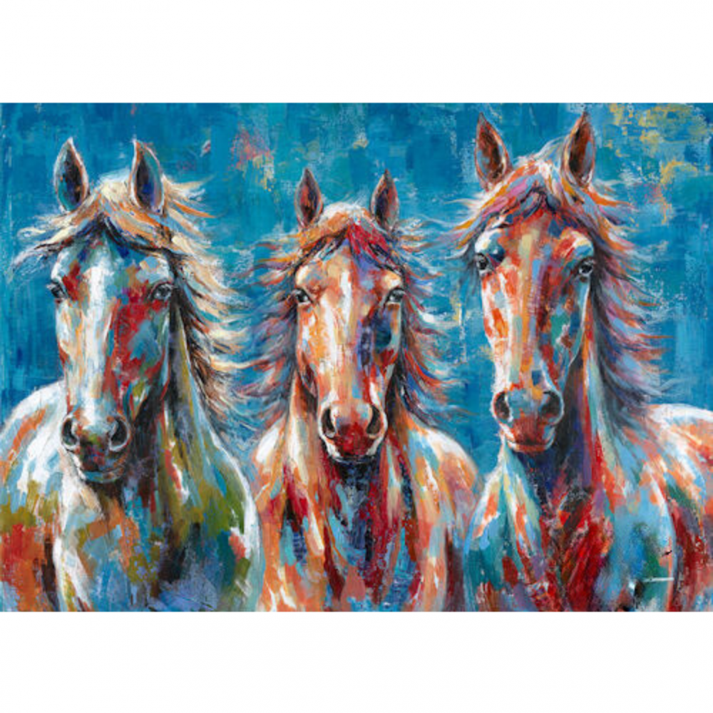 CUADRO COLORES CANVAS CABALLOS