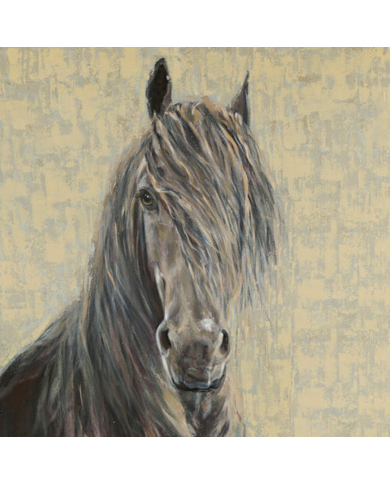 CUADRO 36 X 36 CABALLO CRIN CARA