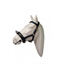 SERRETA INGLESA CON CABEZADA EN NYLON