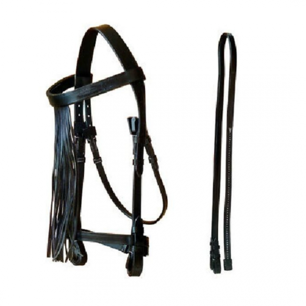 CABEZADA MRJ JEREZANA