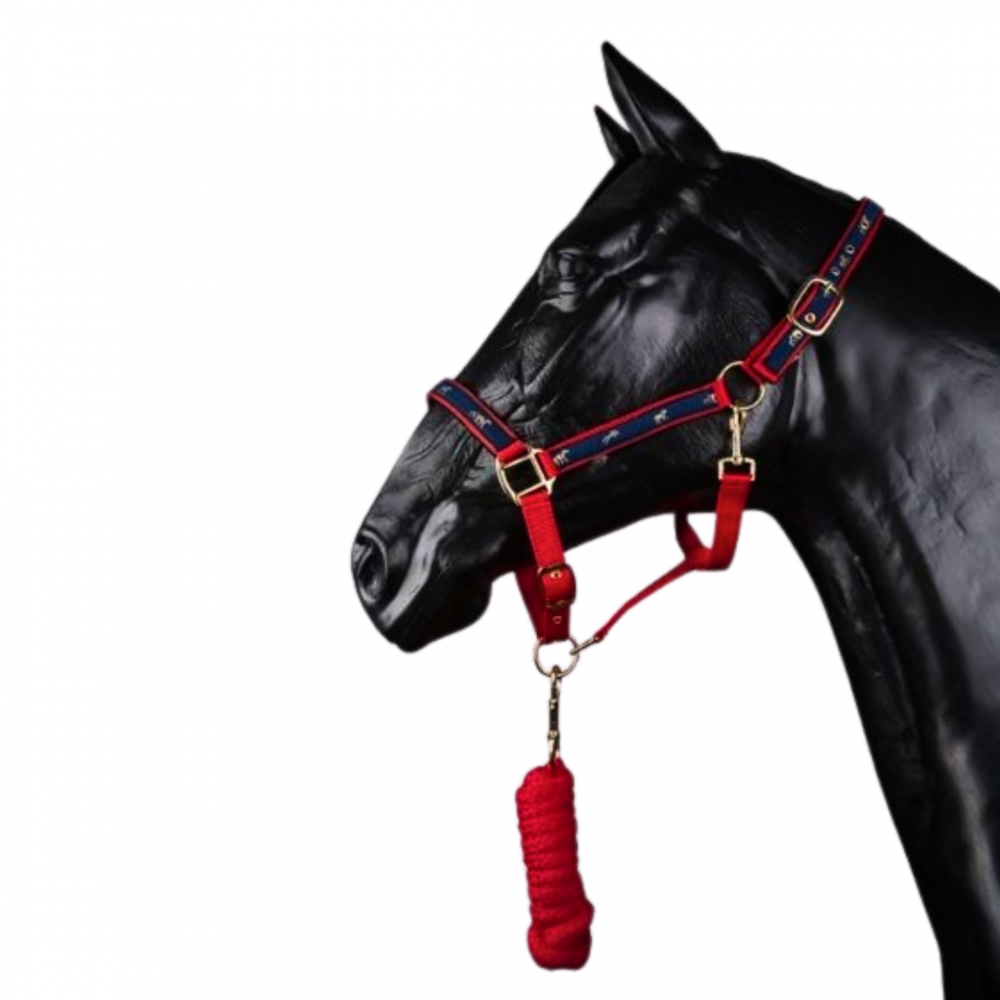 JAQUIMA DE CUADRA + RAMAL