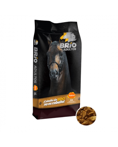 BRIO ADULTOS 40 KG BRIO ADULTOS 40 KG
