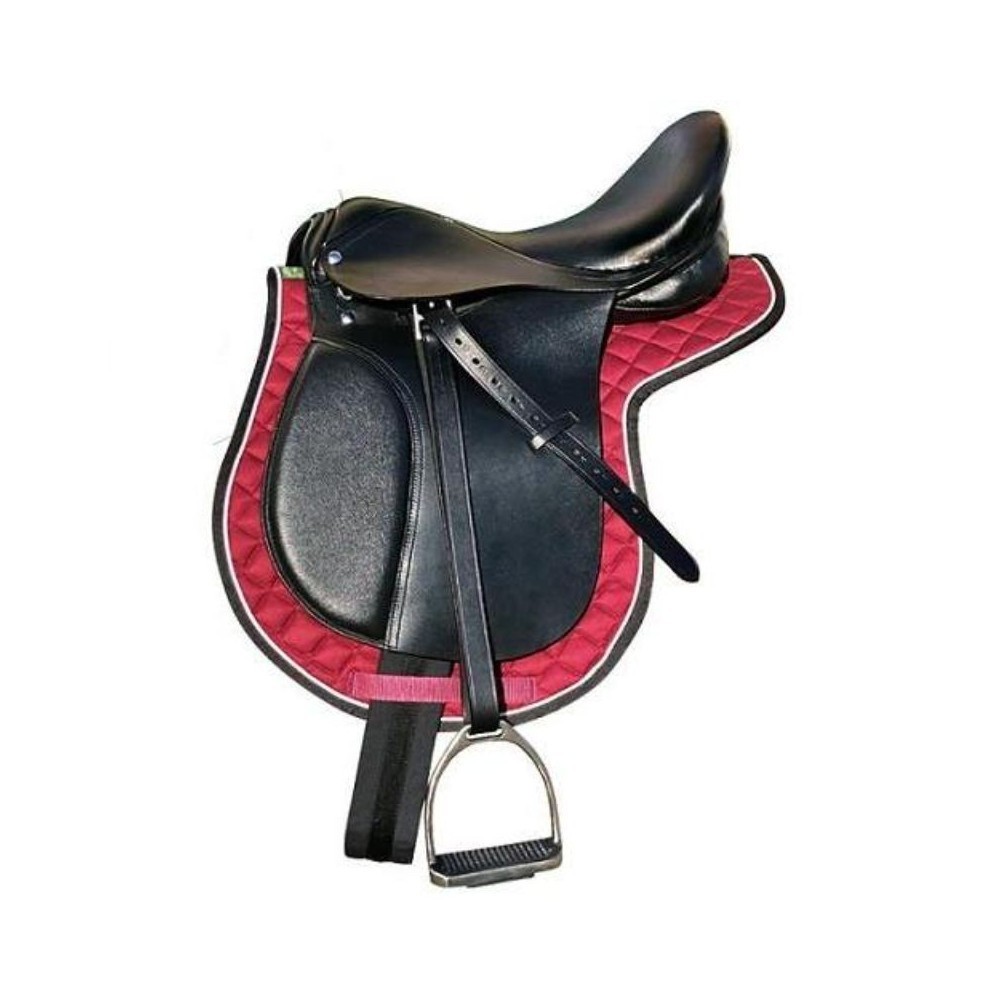 GALAPAGO EQUIPO ESCUELA NIÑO