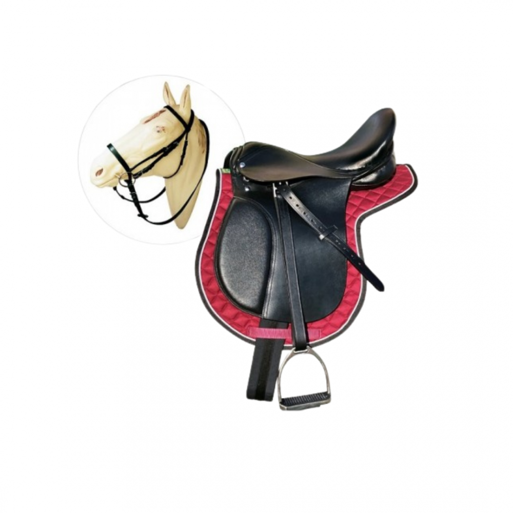 GALAPAGO EQUIPO ESCUELA NIÑO