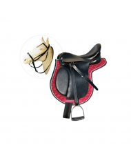 GALAPAGO EQUIPO ESCUELA NIÑO