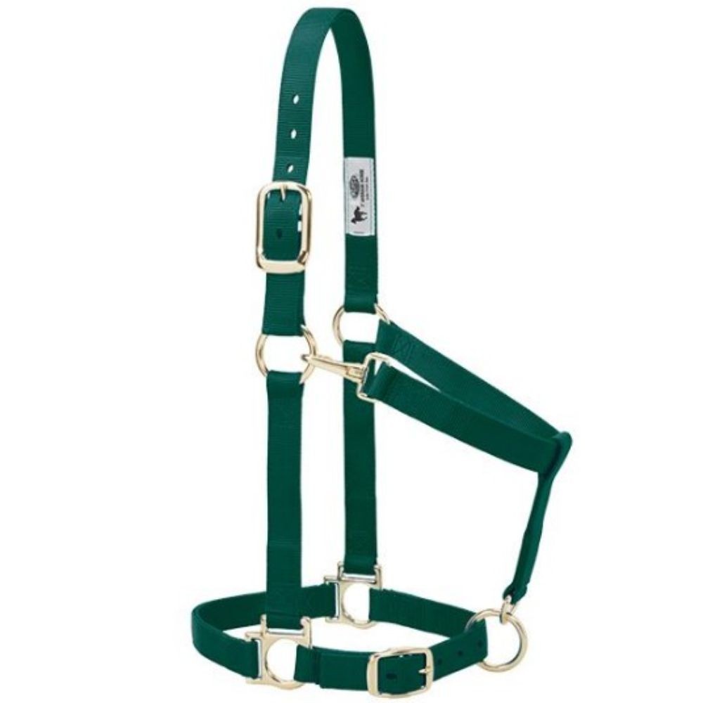 JAQUIMON BASICO REGULABLE