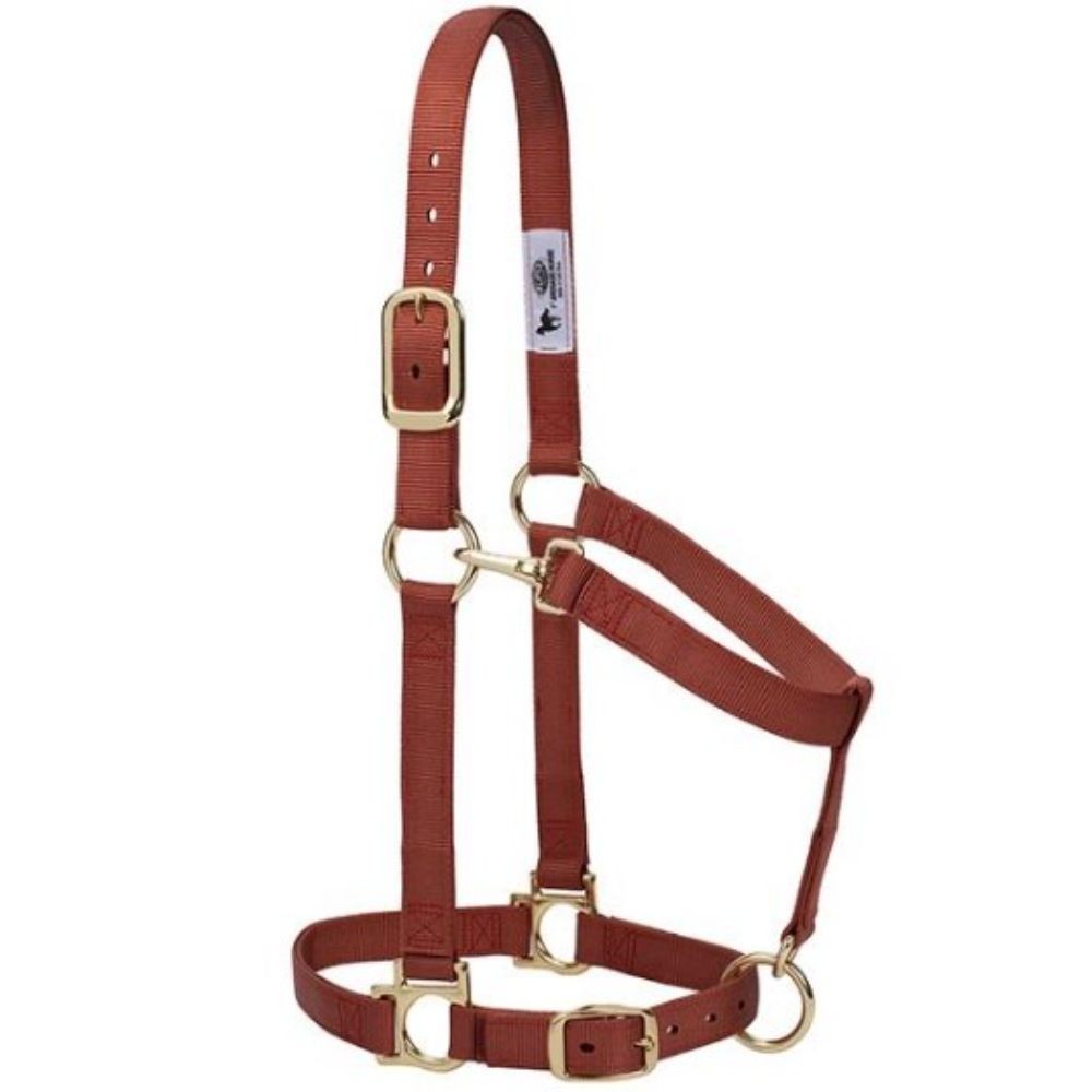 JAQUIMON BASICO REGULABLE