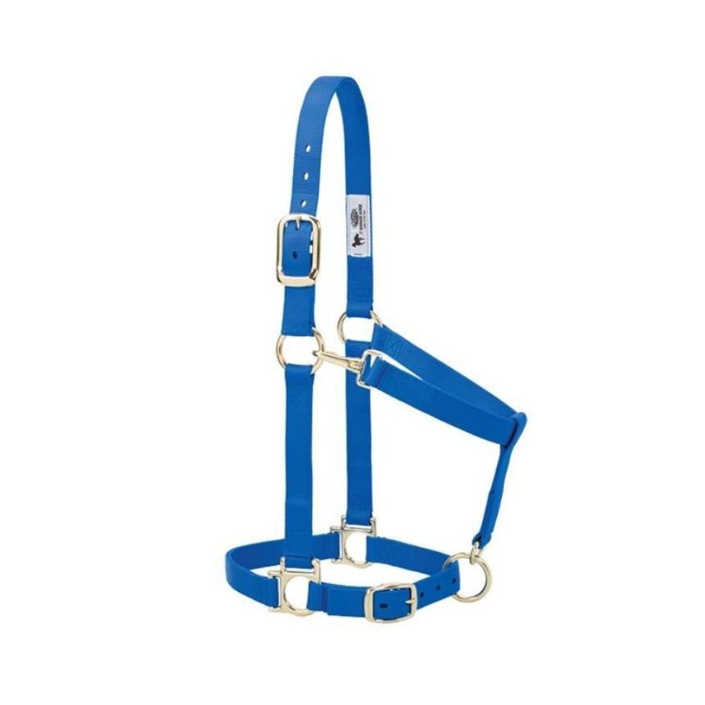 JAQUIMON BASICO REGULABLE