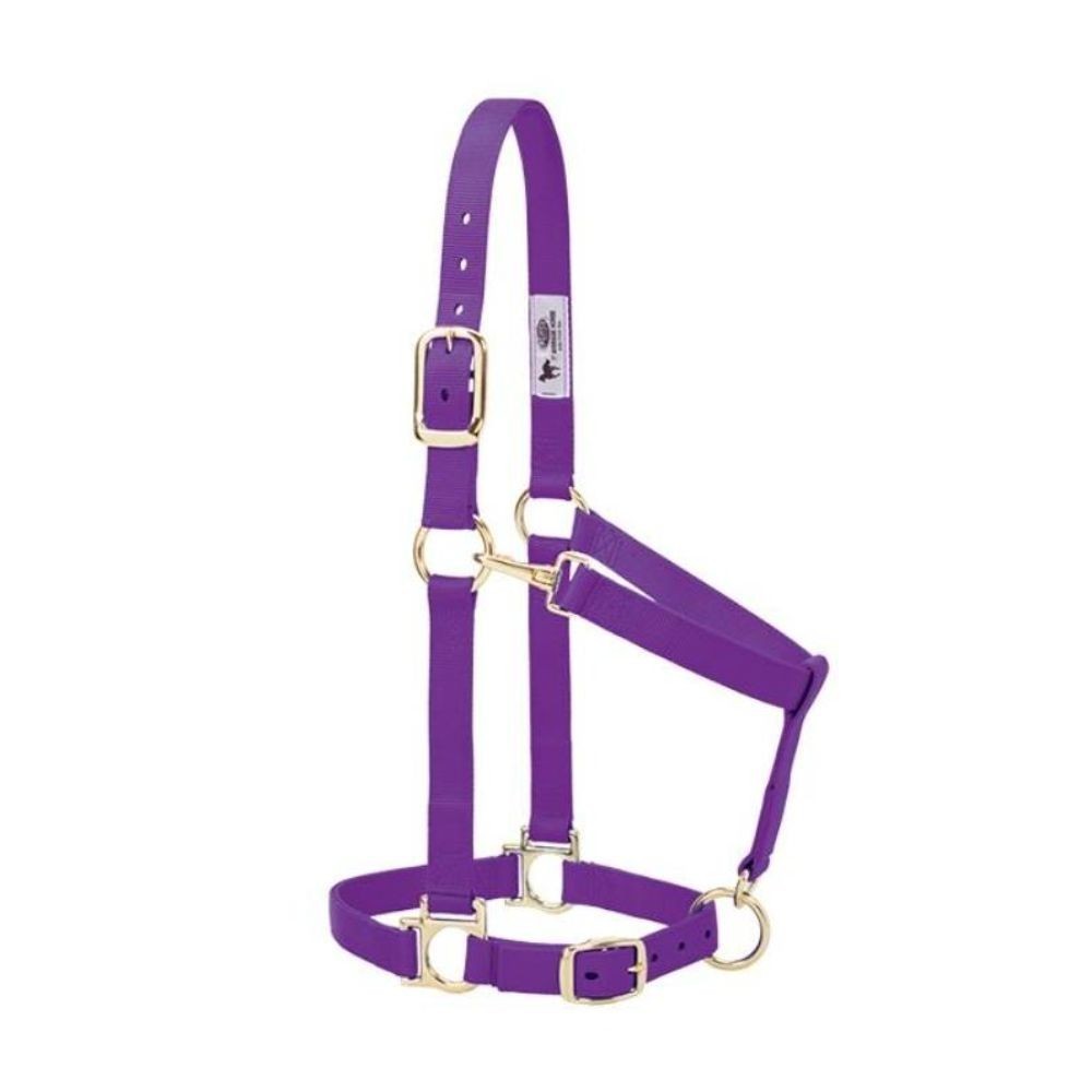 JAQUIMON BASICO REGULABLE