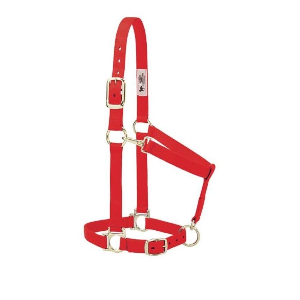 JAQUIMON BASICO REGULABLE